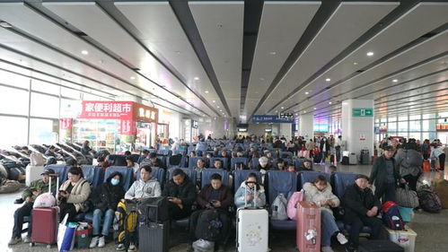 長(zhǎng)沙汽車(chē)西站春運(yùn)客流高峰來(lái)臨 駕駛員培訓(xùn)助力安全出行